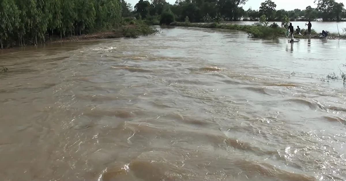 ‘ยโสธร’ เฝ้าระวังระดับน้ำชีสูงขึ้นต่อเนื่อง ท่วมพื้นที่เกษตรแล้ว 5 อำเภอ