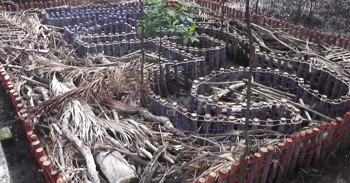 สร้างคอนโดปูอนุรักษ์ปูทะเล