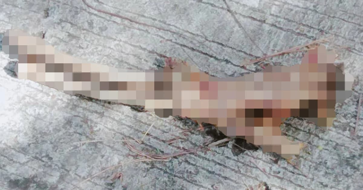 ผวา ! พบชิ้นส่วนมนุษย์ในซอยถนนเข้าหมู่บ้าน จ.สระบุรี