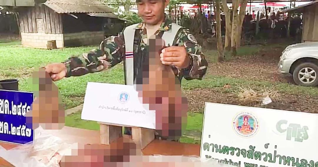 ล่าตัวพ่อค้าทิ้งซากอีเก้งกองโต คาตลาดชายแดน