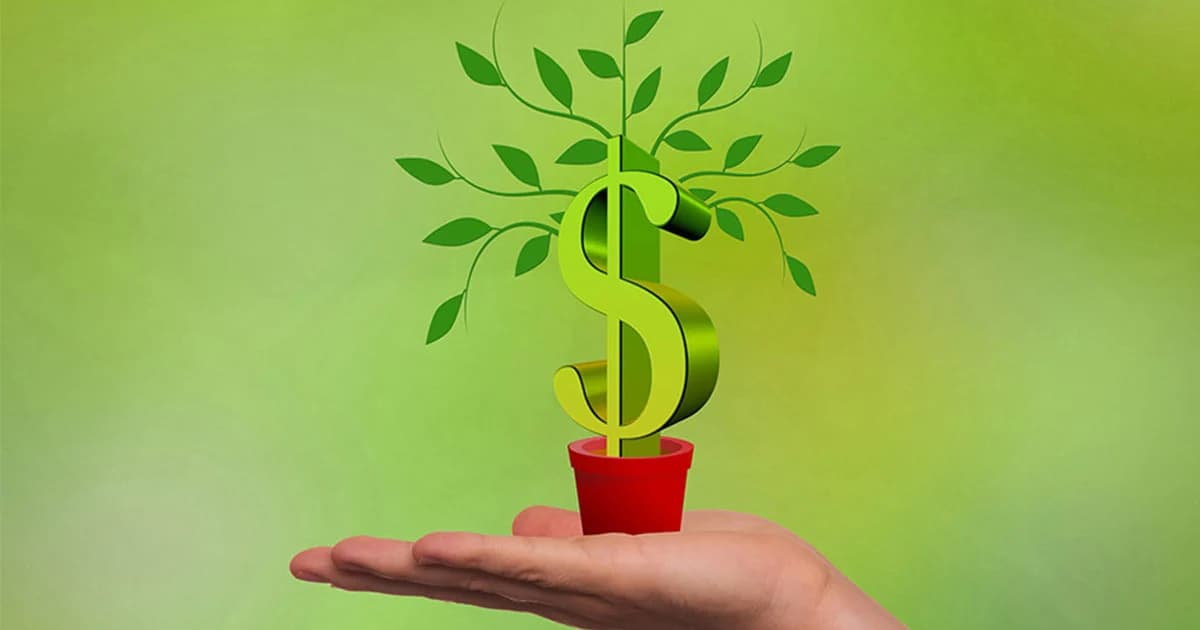 ดูกันชัดๆ ต้นไม้ 58 ชนิด ที่ใช้ค้ำประกันเงินกู้ กับสถาบันการเงินได้