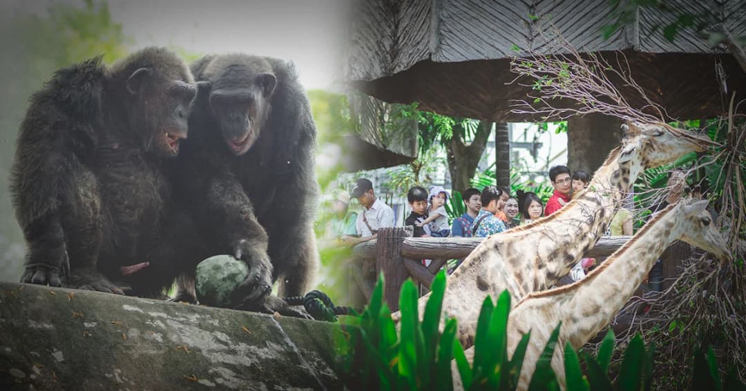 ‘สวนสัตว์ดุสิต’ ปิดสิ้นเดือนนี้ เตรียมย้ายไปที่ใหม่ กว้างกว่าเดิม 3 เท่า