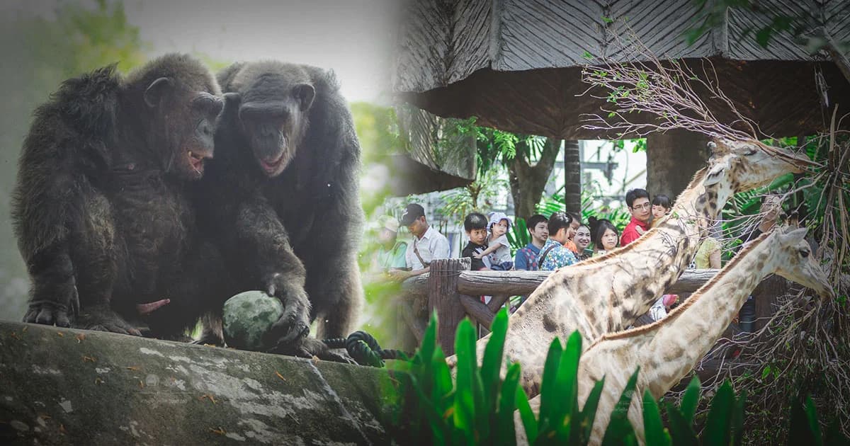 ‘สวนสัตว์ดุสิต’ ปิดสิ้นเดือนนี้ เตรียมย้ายไปที่ใหม่ กว้างกว่าเดิม 3 เท่า