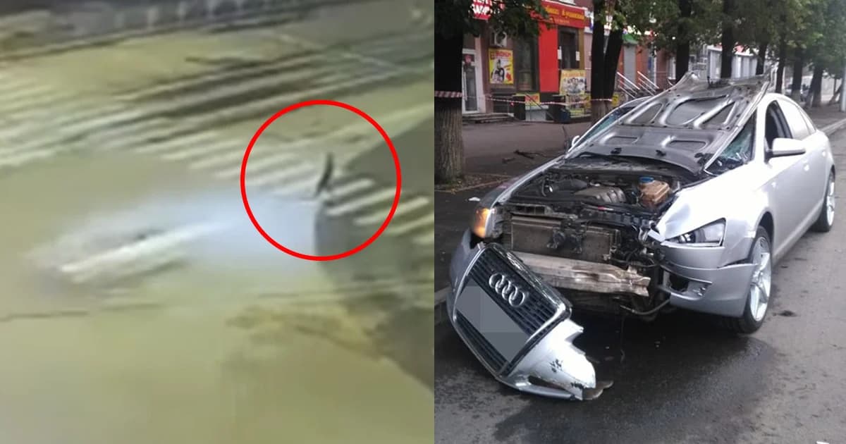 หนุ่มรัสเซียเมาแล้วขับ ซิ่งรถข้ามแยกชนคนข้ามถนนร่างฉีก