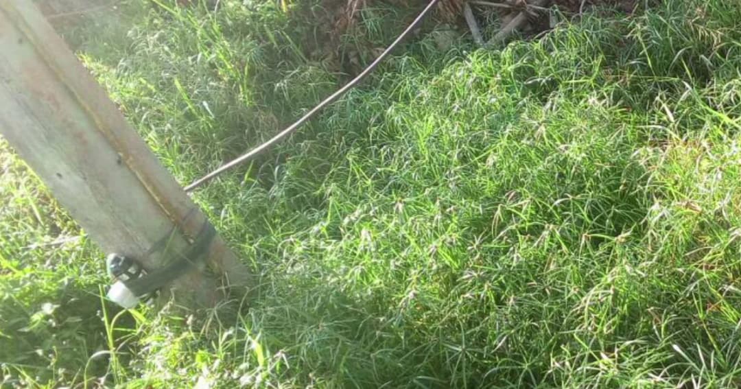 ป่วนปัตตานี ! ระเบิดแสวงเครื่องผูกติดเสาไฟฟ้า หวังก่อกวนให้ไฟดับทั้งอำเภอ