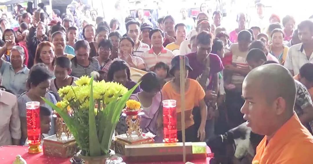 พลังศรัทธา! งานเทกระจาด “ท่งเซียเซี่ยงตึ๊ง” หาดใหญ่ สุดอลังการ