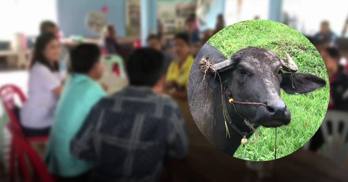 รุดฉีดวัคซีนชาวบ้านเสี่ยงเกือบ 200 ราย หลังกินเนื้อควายที่ตายจากพิษสุนัขบ้า