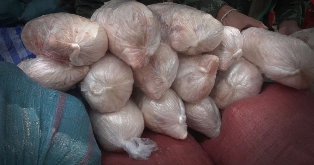 ยึดซากลูกหมูแช่แข็ง 1,500 กก. ลักลอบขนย้ายส่งลูกค้าที่ จ.นครปฐม