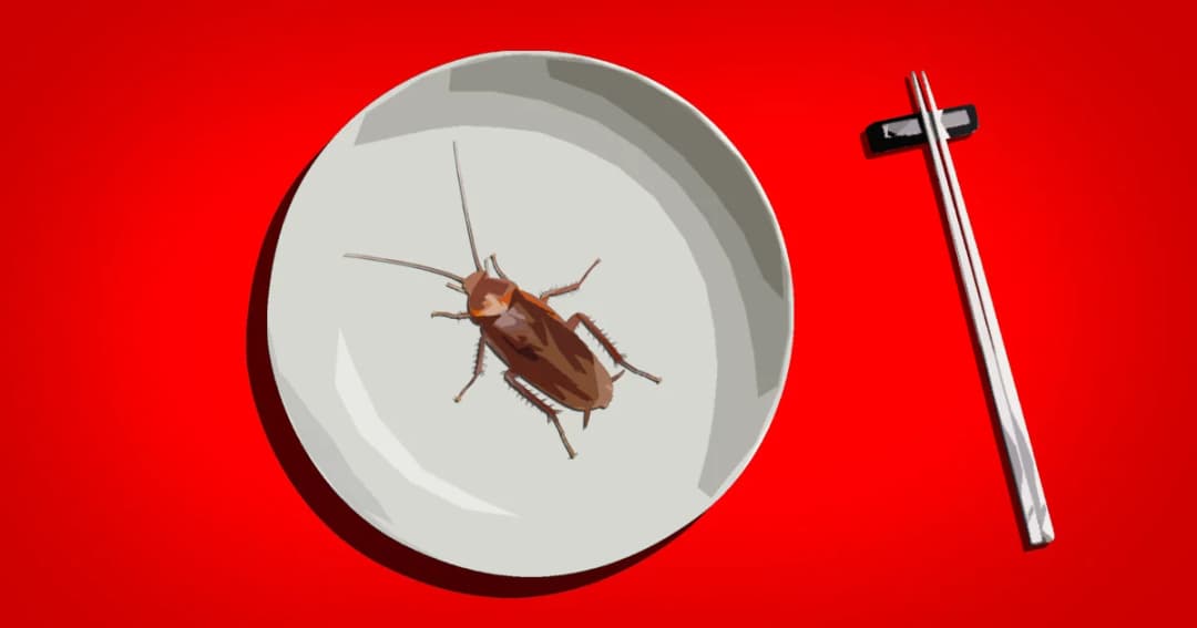 เมนูไหนก็อร่อยกับ “แมลงสาบ” แหล่งโปรตีนแห่งอนาคต