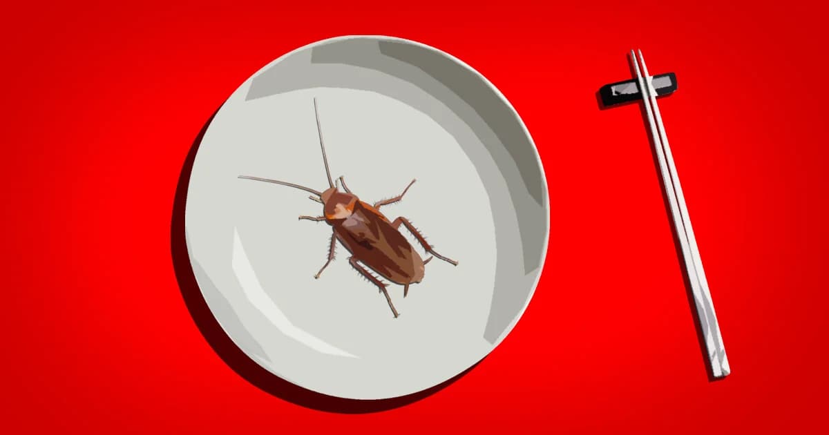 เมนูไหนก็อร่อยกับ “แมลงสาบ” แหล่งโปรตีนแห่งอนาคต