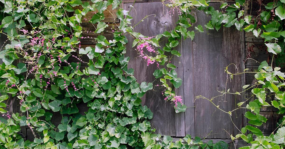 พัก ‘โฮมสเตย์’ เมืองรอง ลดหย่อนภาษีเงินได้ 1.5 หมื่นบาท