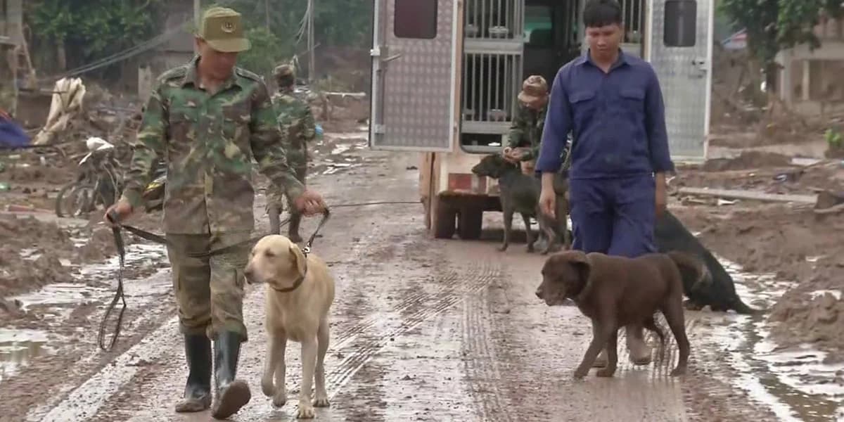 สปป.ลาวใช้สุนัขดมกลิ่นเร่งหาผู้สูญหาย จากเหตุเขื่อนดินแตก
