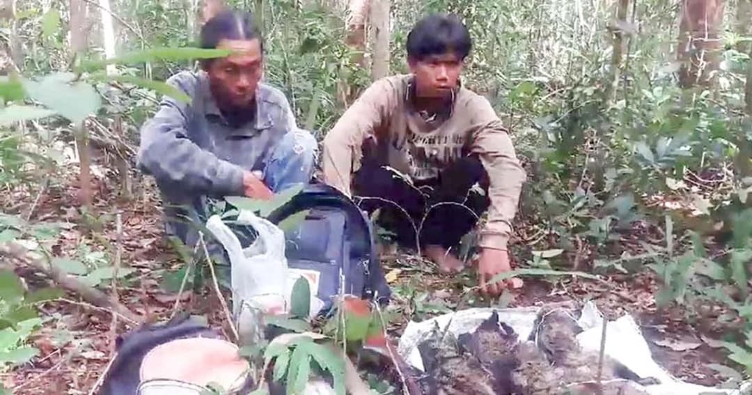 รวบ 2 พรานป่าล่า “อีเห็น ลายเสือ 3 ตัว” คาเขตรักษาพันธุ์สัตว์ป่า