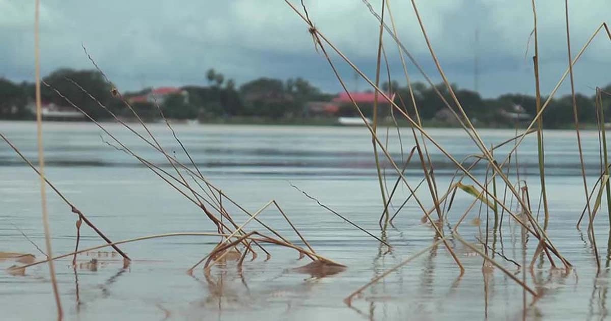 ประกาศพื้นที่ภัยพิบัติทั้ง จ.นครพนม พื้นที่เกษตร 2 แสนไร่จมน้ำ