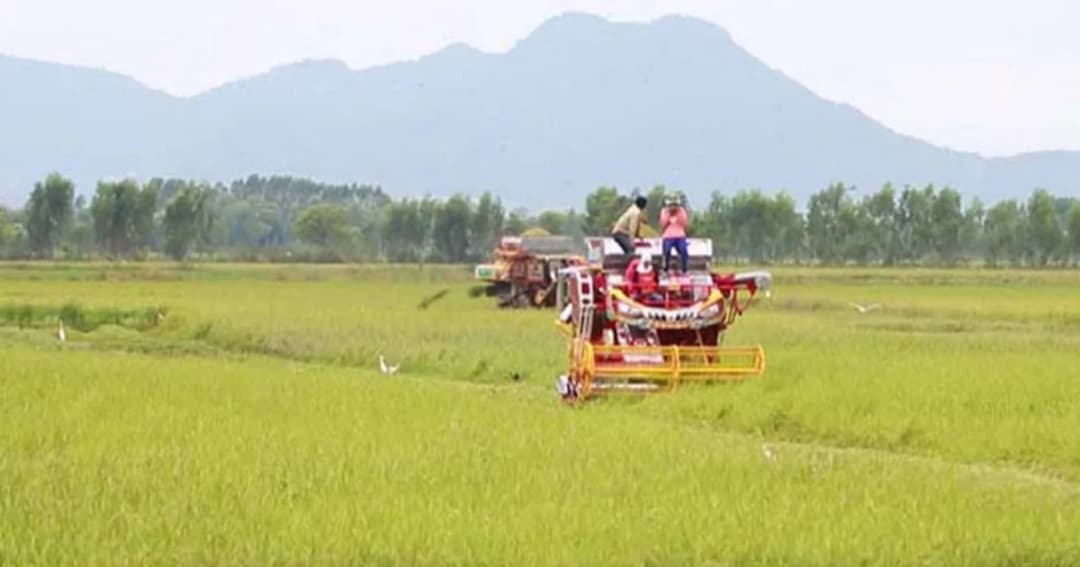 ผู้ว่าฯอยุธยา สั่งเกี่ยวข้าวให้เสร็จ 15 ก.ย.นี้ เตรียมทุ่งเกือบ 7 แสนไร่รับน้ำเหนือหลาก