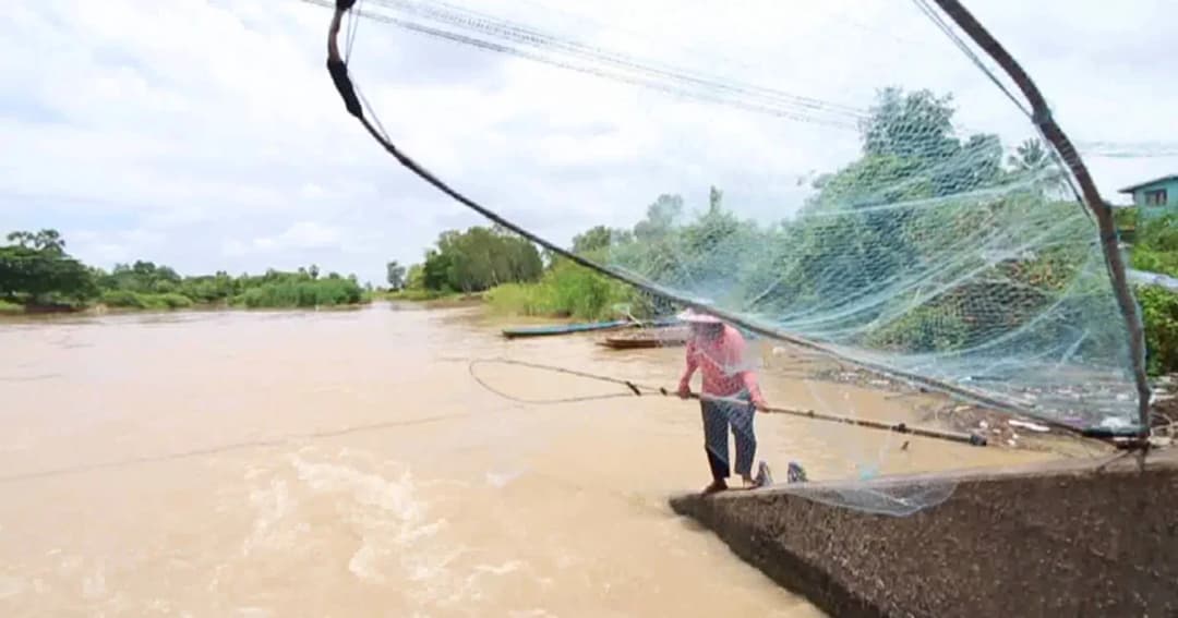 นครสวรรค์ เริ่มหยุดทำนาหาอาชีพอื่นชั่วคราว ปรับตัวสู่ฤดูน้ำหลาก