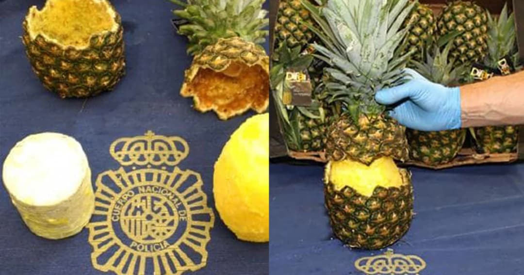 ตำรวจสเปนบุกยึดสับปะรด สอดไส้โคเคนร่วม 60 กิโลฯ