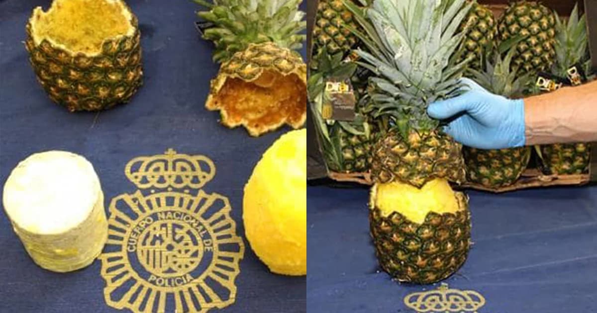 ตำรวจสเปนบุกยึดสับปะรด สอดไส้โคเคนร่วม 60 กิโลฯ