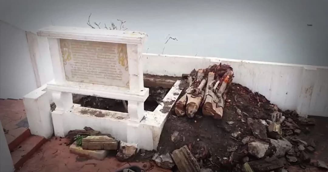 สุดอาลัย ! ‘ต้นศรีมหาโพธิ์’ ที่ในหลวง ร.9 ทรงปลูกเมื่อ 60 ปีก่อน ยืนต้นตาย