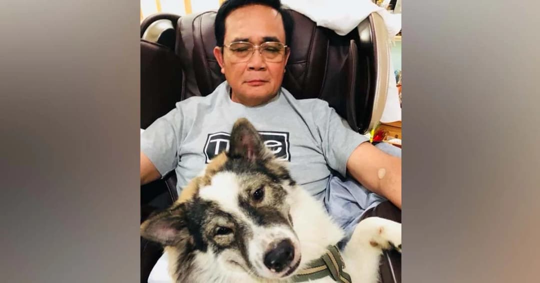 ไปเนปาลมีใครรออยู่นะ! เผยภาพสุนัขตัวโปรด “เจ้าหมีของลุงตู่”