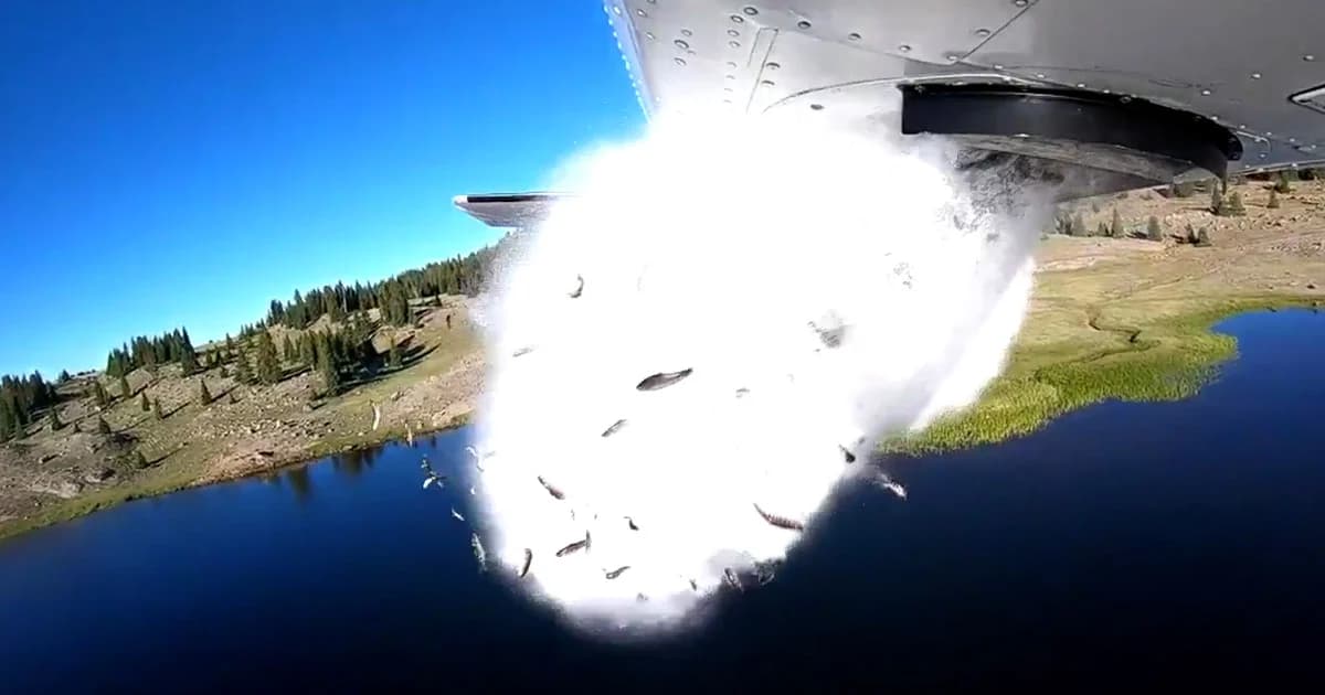สุดตื่นตา! เครื่องบินปล่อย “ฝนปลา” กลางทะเลสาบรัฐยูทาห์