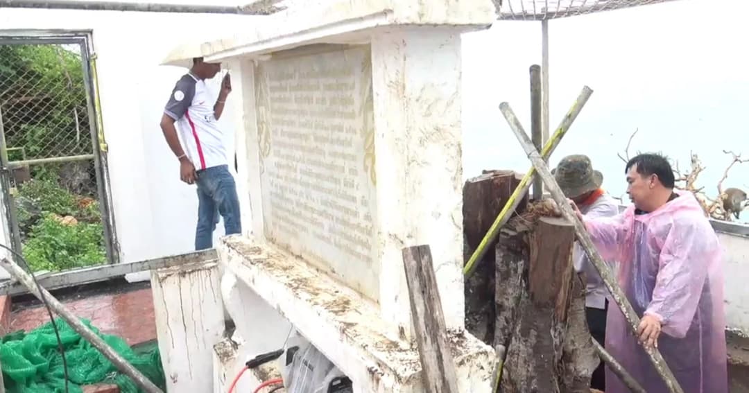 เคลื่อนตอต้นพระศรีมหาโพธิ์ที่ ร.9 ทรงปลูกไปฟื้นฟู ลุ้นต้นโพธิ์จิ๋วรอตรวจดีเอ็นเอ