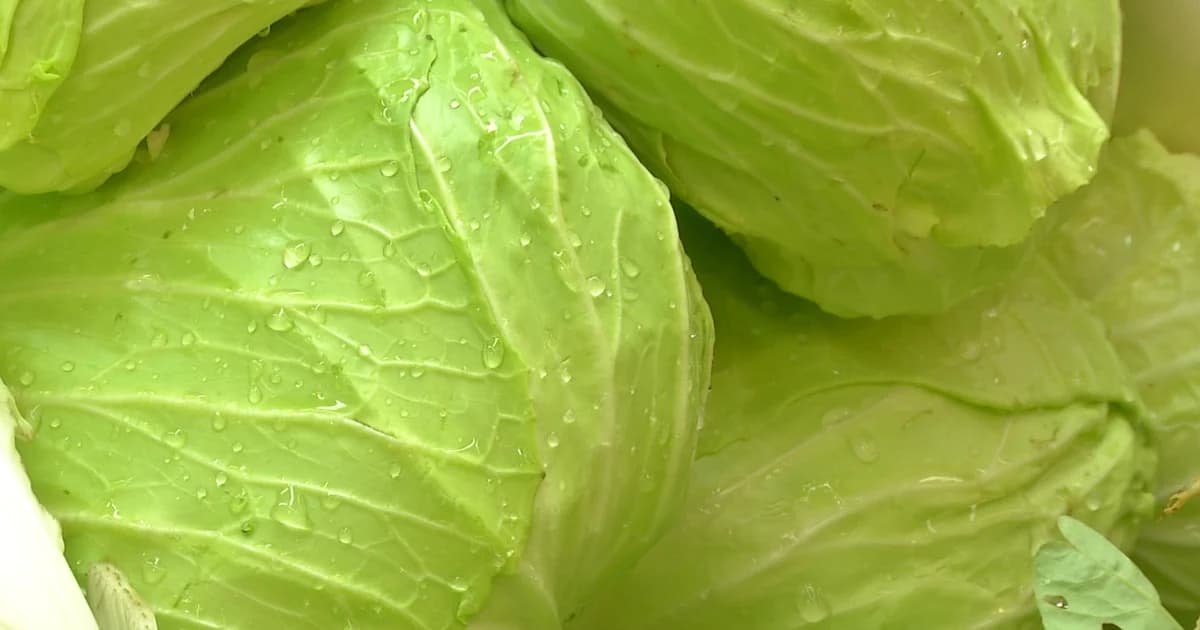 “อาหารสด – พลังงาน” ดันของแพงต่อเนื่อง 14 เดือน