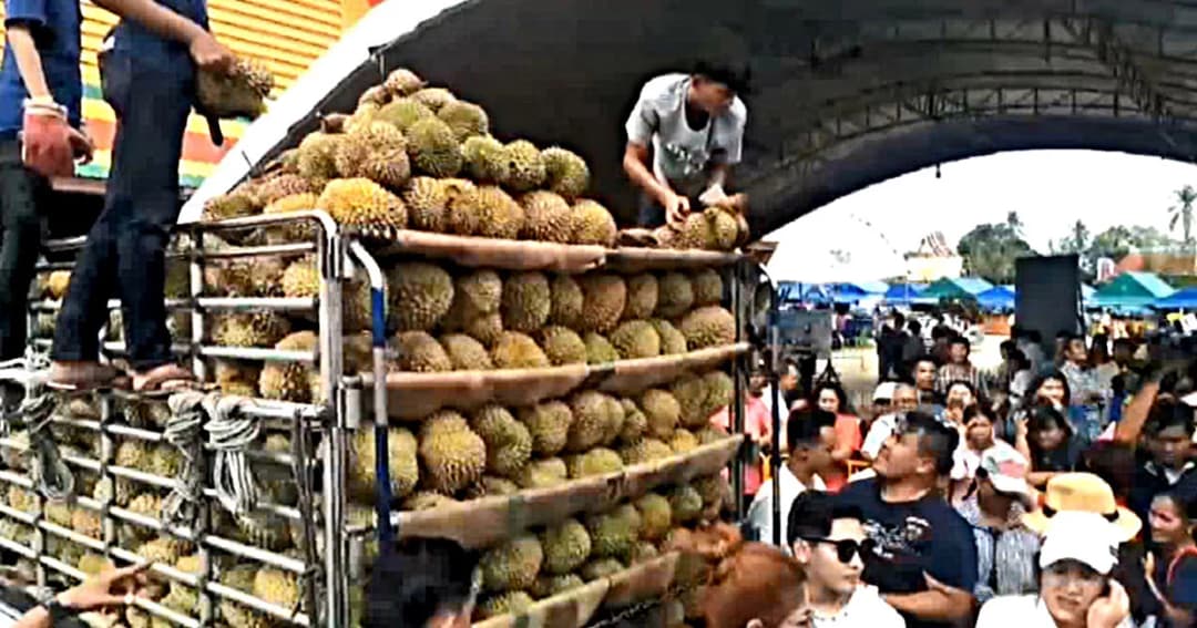 ชาวบ้านนับพัน แห่รับทุเรียนฟรี หลังแม่ค้าขนมาแก้บน 3.5 ตัน