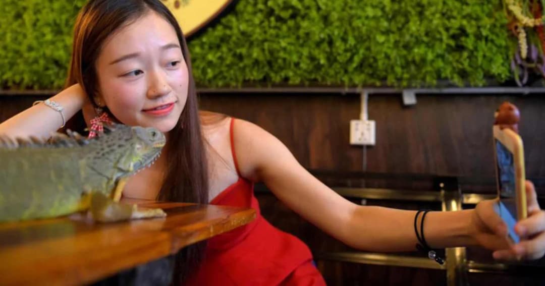 คาเฟ่สัตว์เลื้อนคลาน กลางกรุงพนมเปญ