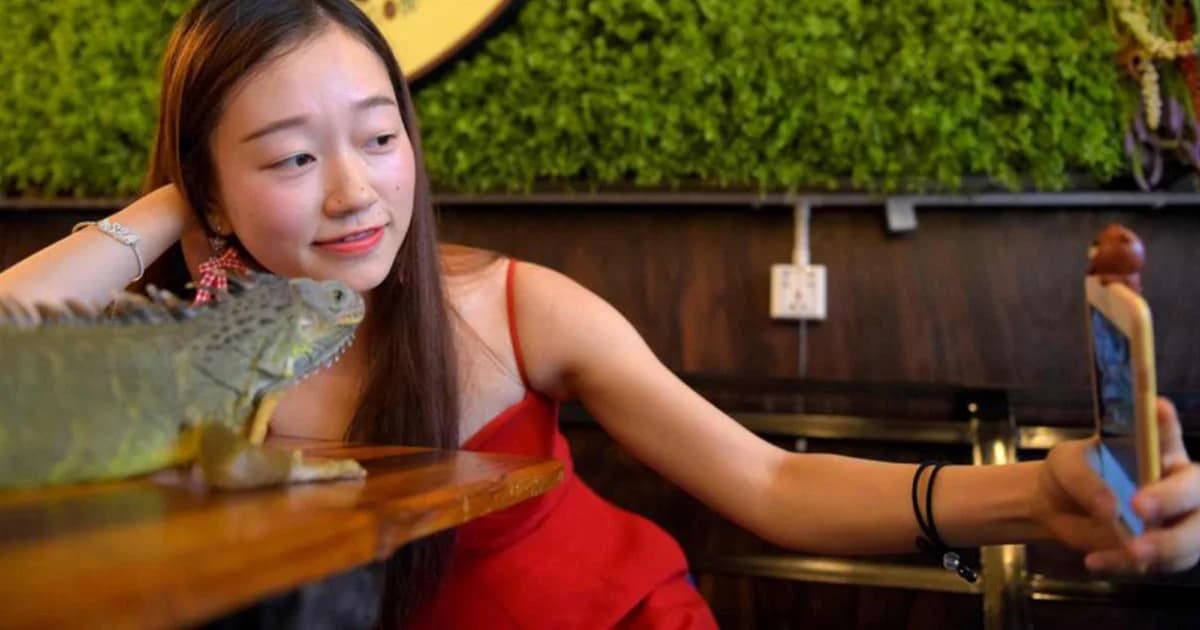 คาเฟ่สัตว์เลื้อนคลาน กลางกรุงพนมเปญ