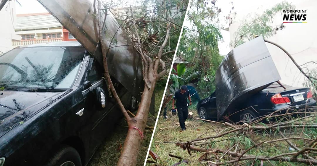 เฝ้าระวัง ‘ชัยภูมิ’ เจอพิษพายุฝน ต้นไม้หักโค่นทับรถ-ไฟดับทั่วเมือง
