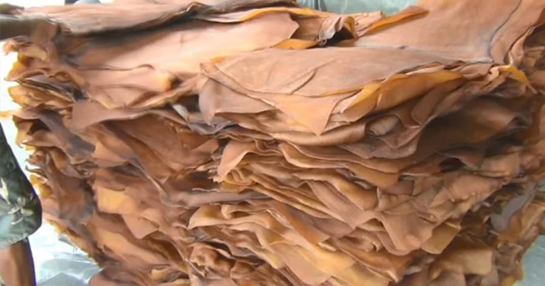 รัฐยันไม่นำยางค้างสต๊อกเก่าออกขาย หวั่นซ้ำเติมราคาต่ำลง