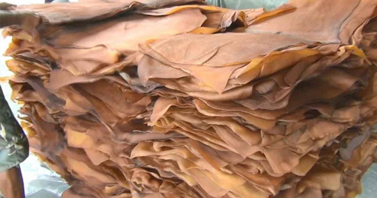 รัฐยันไม่นำยางค้างสต๊อกเก่าออกขาย หวั่นซ้ำเติมราคาต่ำลง