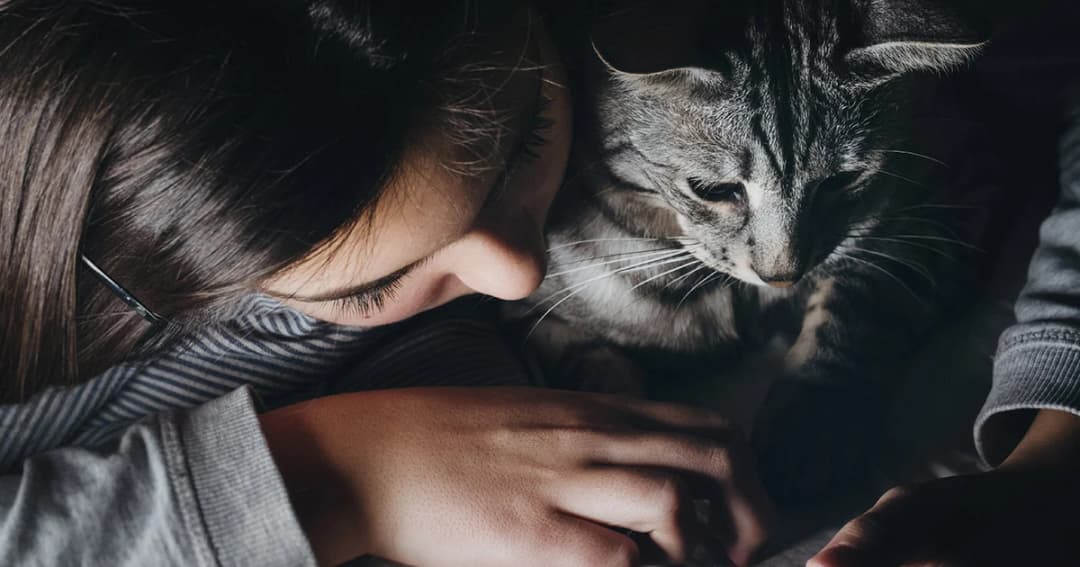 ‘ทาสแมว’ ต้องระวังเชื้อโรค ‘กลากแมว’ สามารถติดสู่คนได้