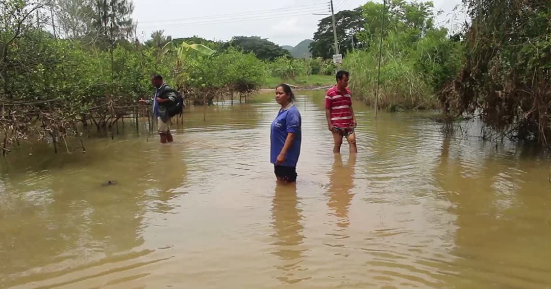 เดือดร้อน! ‘แม่น้ำเพชรบุรี’ ล้นท่วมพื้นที่เกษตรเสียหาย วอนเร่งระบายน้ำเหนือเขื่อน