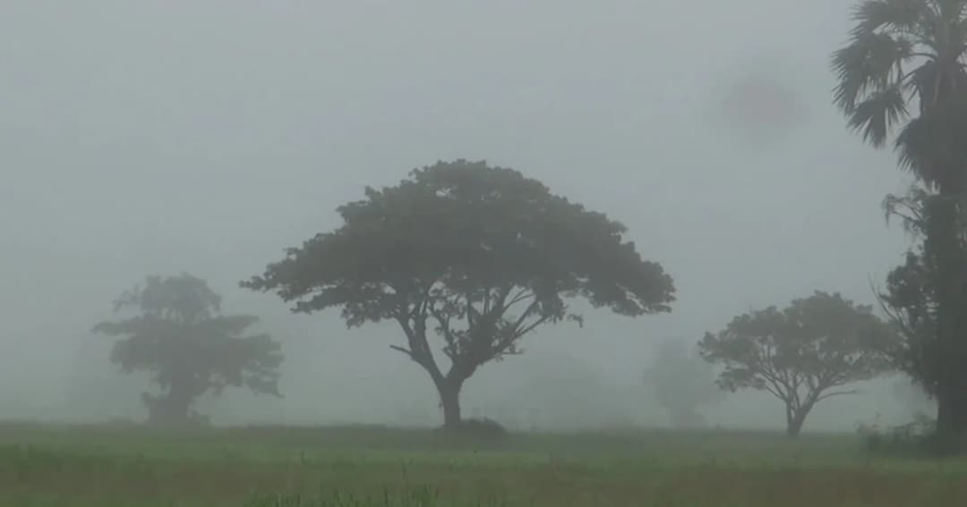 เฮ! ลำปางเริ่มหนาวแล้ว อุณหภูมิลดเหลือ 24 องศา หลายเส้นทางหมอกลงจัด