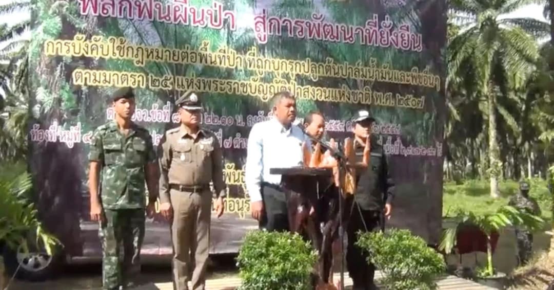 จนท.สนธิกำลัง รื้อถอนต้นปาล์ม 5 หมื่นต้น หลัง บ.เอกชนหมดอายุสัมปทาน