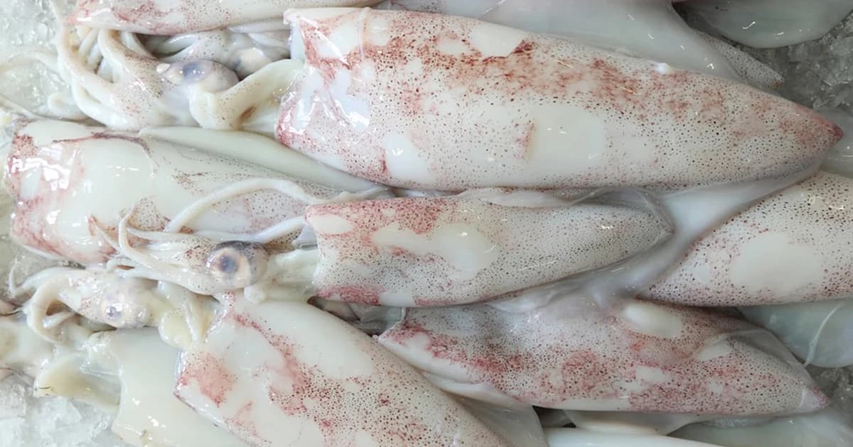 พ่อค้าหัวใส ใช้แอสไพรินแช่หมึกให้เนื้อเด้ง เตือนผู้แพ้ อันตรายถึงตาย