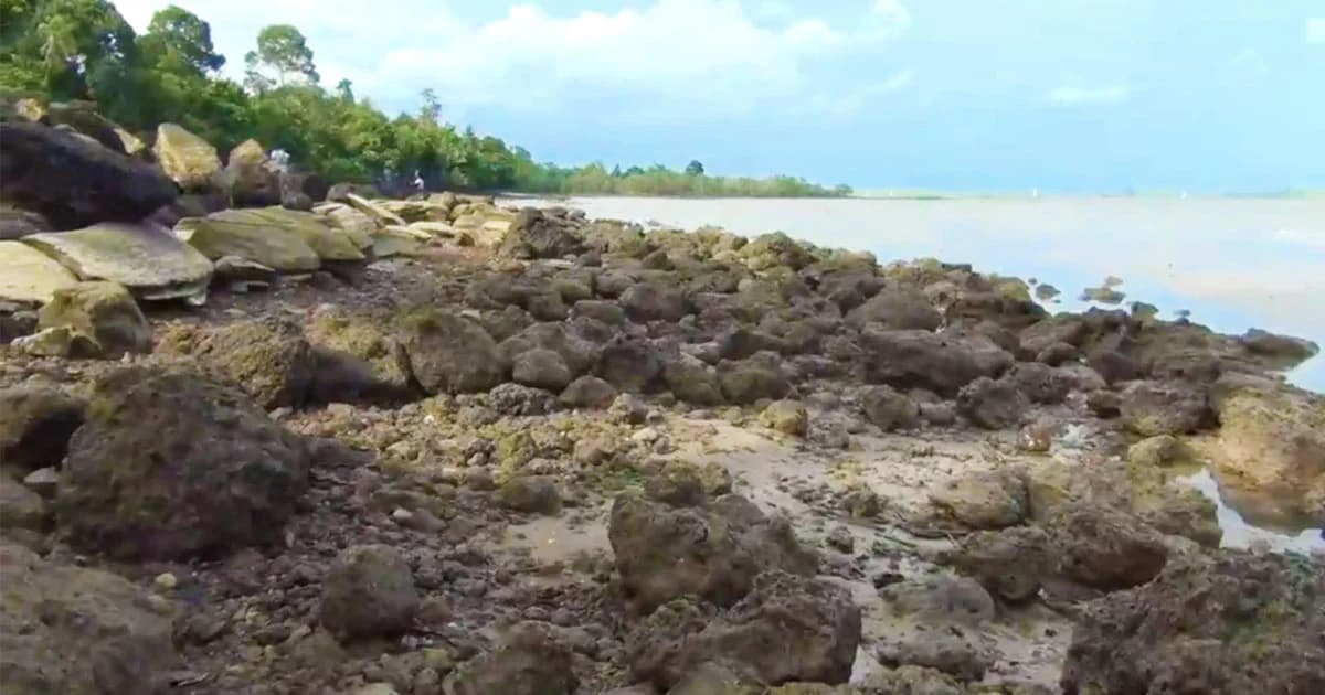 เร่งตรวจสอบแนวหินใกล้สุสานหอยกระบี่ หลังพบซากฟอสซิล อายุกว่า 290 ล้านปี !