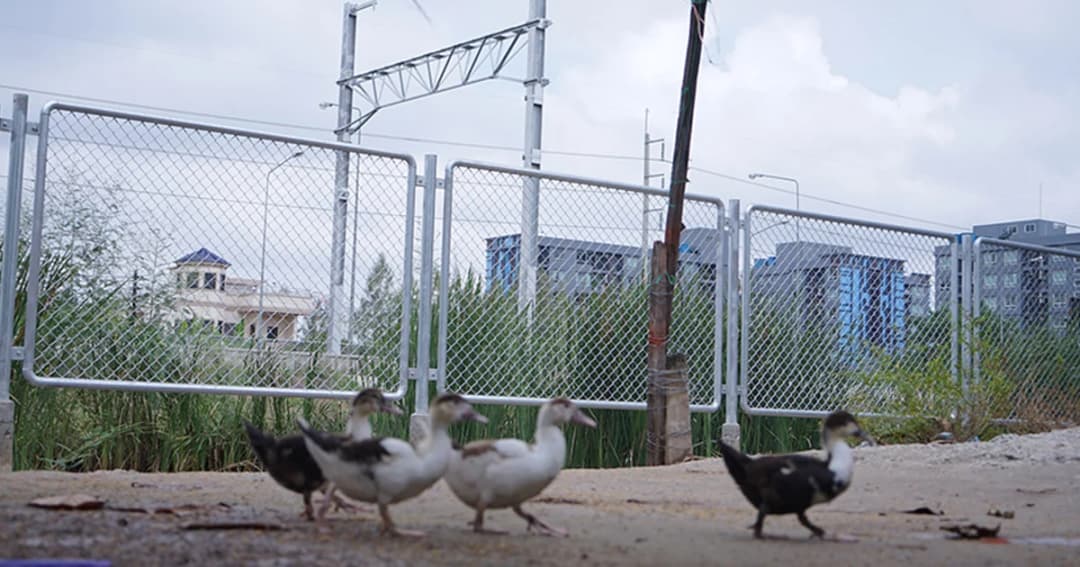 ชาวปทุมธานีหวั่นอีกครั้ง ถูกเวนคืนที่ดินสร้างทางรถไฟความเร็วสูง