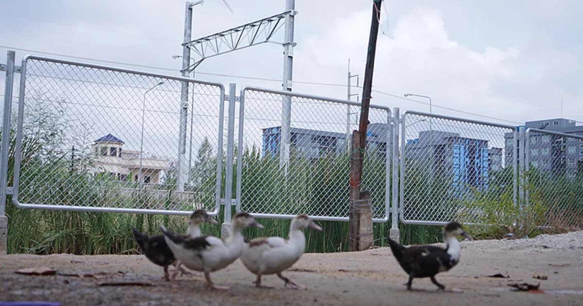 ชาวปทุมธานีหวั่นอีกครั้ง ถูกเวนคืนที่ดินสร้างทางรถไฟความเร็วสูง