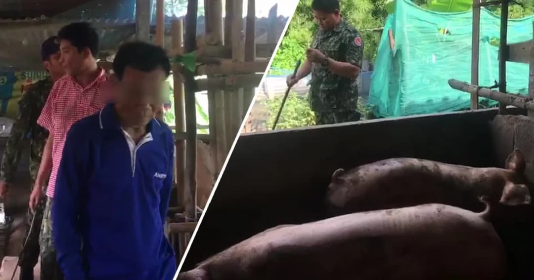 มหาสารคาม จับซ้ำสอง! พ่อเฒ่าเลี้ยงหมูบังหน้าขายยาบ้า-กัญชา