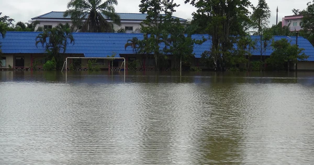 ‘สตูล’ เตรียมประกาศเป็นพื้นที่ภัยพิบัติอุทกภัย ขณะที่สัตว์มีพิษหนีน้ำท่วม