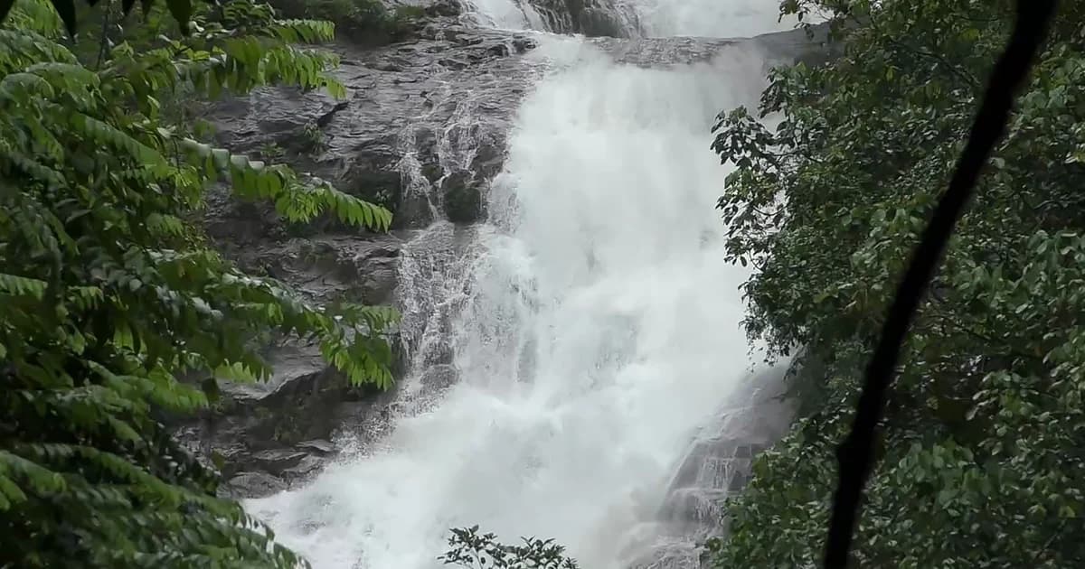 เตือน! ห้ามเล่นน้ำตก ‘5 อำเภอ เมืองตรัง’ หลังฝนถล่ม หวั่นน้ำป่าหลาก
