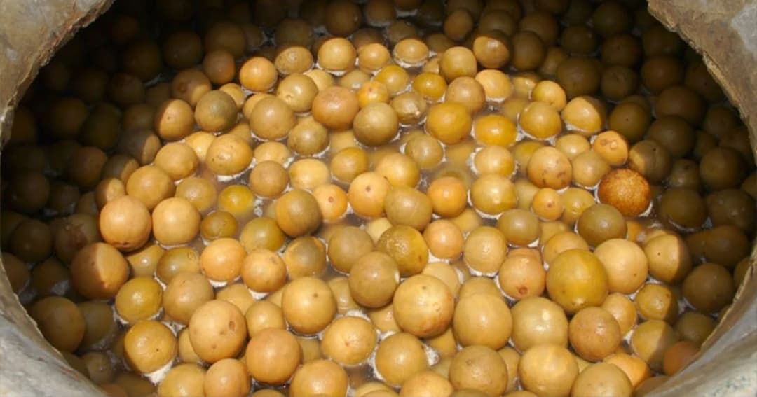 เกษตรกรหัวใส ! แปรรูปมะนาวดองโอ่งขาย หลังราคาตกต่ำ