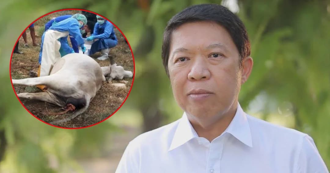 เตือนภัย! ห้ามชำแหละสัตว์ป่วยตาย เสี่ยงติดโรค