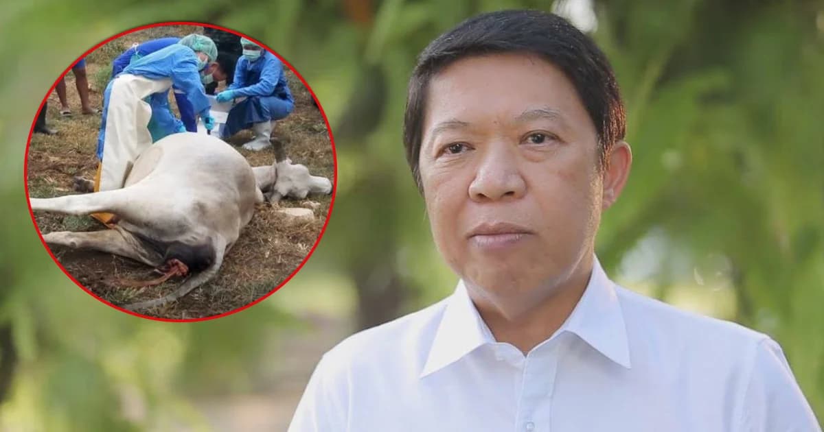 เตือนภัย! ห้ามชำแหละสัตว์ป่วยตาย เสี่ยงติดโรค