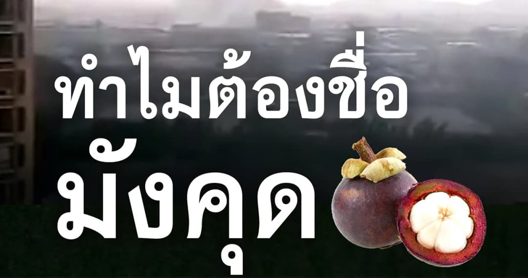 เปิดคำตอบ ทำไมไต้ฝุ่นชื่อมังคุด