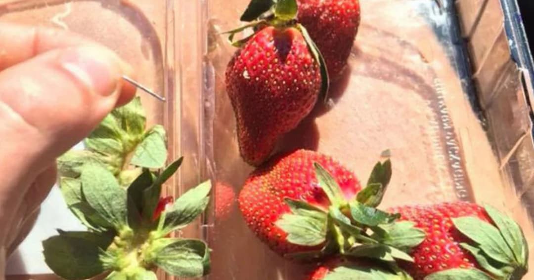 พบสตรอว์เบอร์รี่ฝังเข็ม ใน 6 รัฐของออสเตรเลีย
