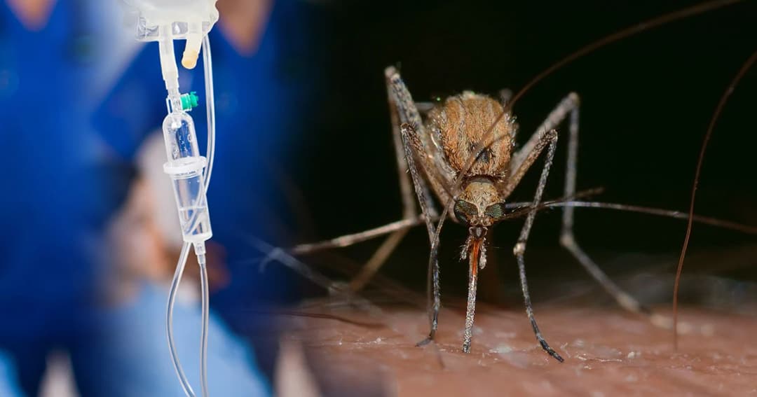 ‘ไข้เลือดออก’ ระบาด กทม.ป่วยแล้ว 6 พันราย เสียชีวิต 5 ราย